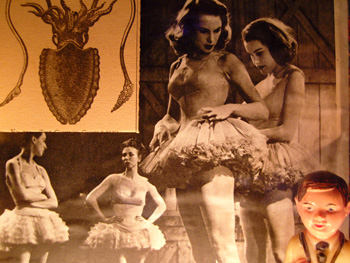 beauty (2000) detail illuminated box assemblage by Frank Turek