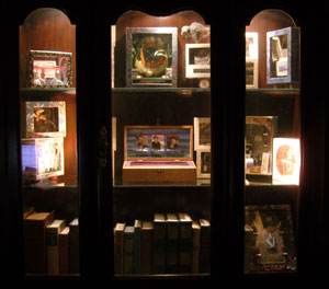 collection of Frank Turek's boxed asssemblage art at ubu studio