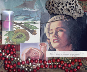 Mr. Fly, 2006 assemblage print by Frank Turek