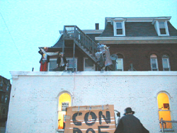 Gaylord, Crank Sturgeon and Clog on the roof of ubu studio