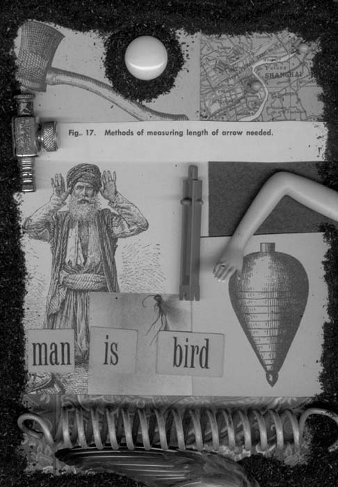 Fight or Flight, assemblage print by Frank Turek