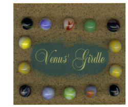 Venus' Girdle artist book by Frank Turek